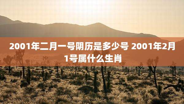 2001年二月一号阴历是多少号 2001年2月1号属什么生肖