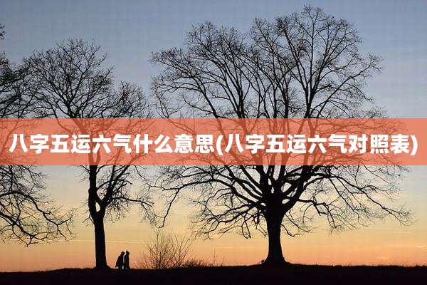 八字五运六气什么意思(八字五运六气对照表)