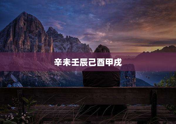 辛未壬辰己酉甲戌