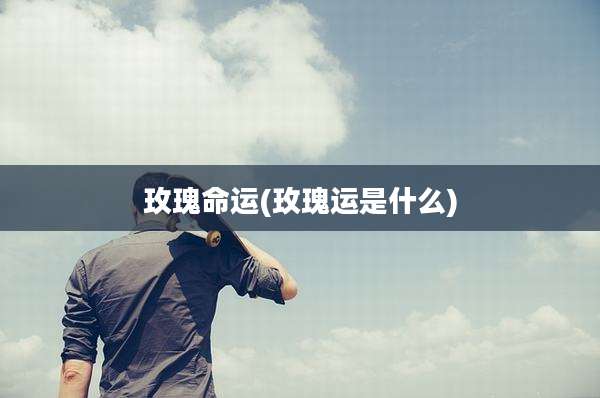 玫瑰命运(玫瑰运是什么)