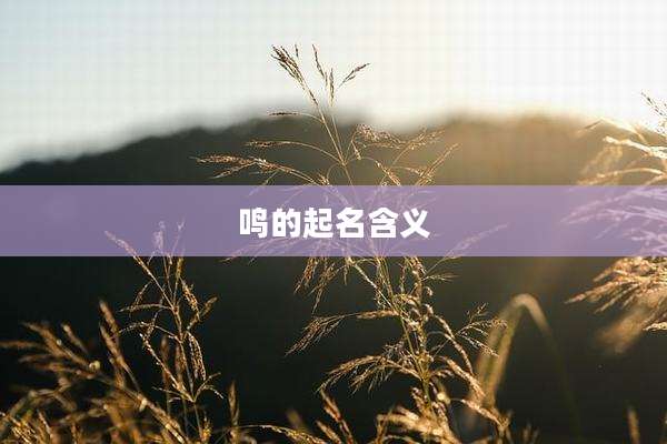 鸣的起名含义