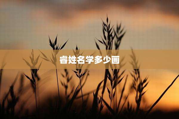 睿姓名学多少画