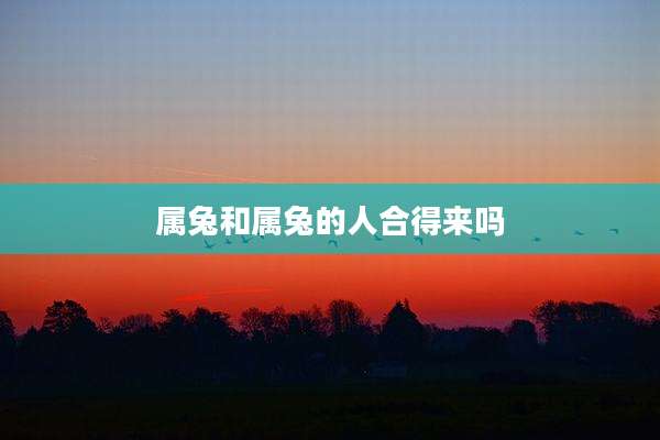 属兔和属兔的人合得来吗
