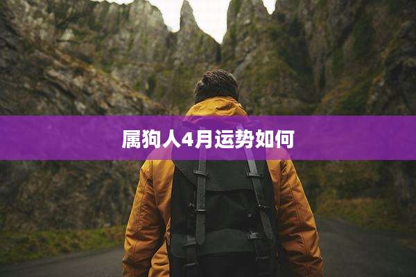 属狗人4月运势如何