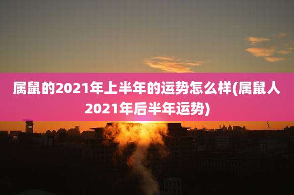 属鼠的2021年上半年的运势怎么样(属鼠人2021年后半年运势)