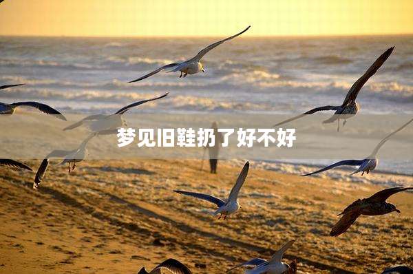 梦见旧鞋扔了好不好