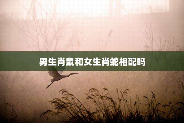 男生肖鼠和女生肖蛇相配吗