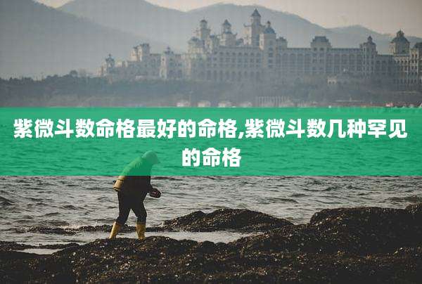 紫微斗数命格最好的命格,紫微斗数几种罕见的命格
