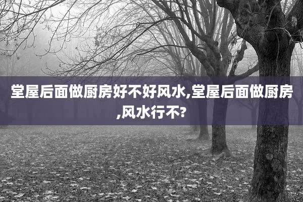 堂屋后面做厨房好不好风水,堂屋后面做厨房,风水行不?