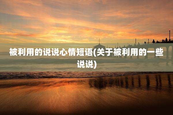 被利用的说说心情短语(关于被利用的一些说说)