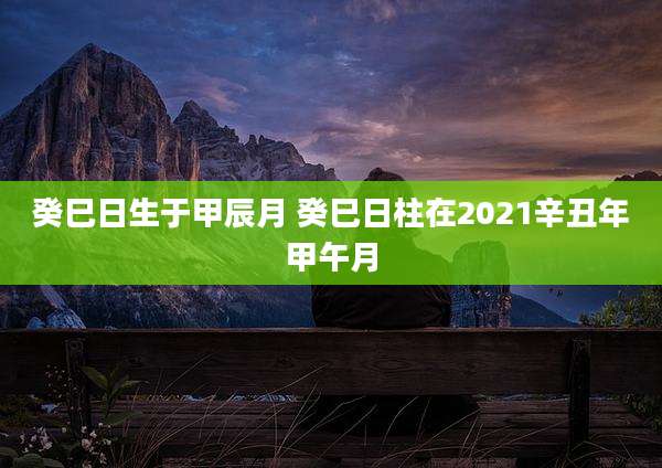 癸巳日生于甲辰月 癸巳日柱在2021辛丑年甲午月