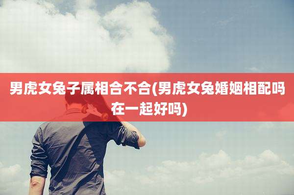 男虎女兔子属相合不合(男虎女兔婚姻相配吗 在一起好吗)