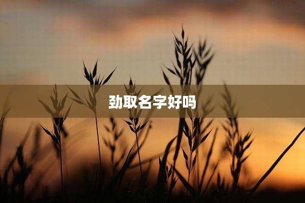劲取名字好吗