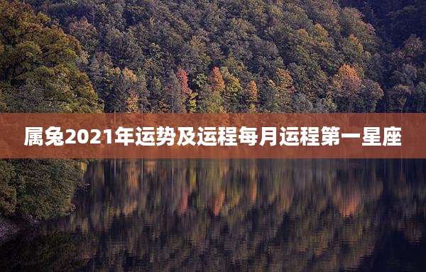 属兔2021年运势及运程每月运程第一星座