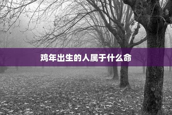 鸡年出生的人属于什么命