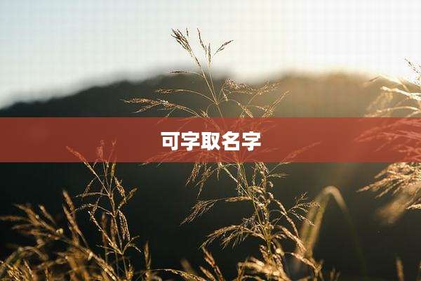 可字取名字