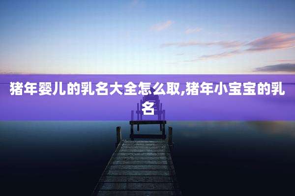 猪年婴儿的乳名大全怎么取,猪年小宝宝的乳名