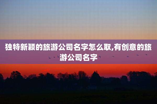 独特新颖的旅游公司名字怎么取,有创意的旅游公司名字