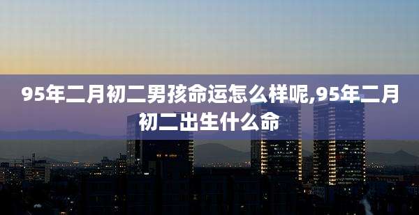 95年二月初二男孩命运怎么样呢,95年二月初二出生什么命
