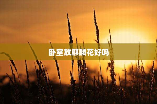 卧室放麒麟花好吗