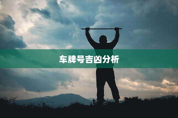 车牌号吉凶分析