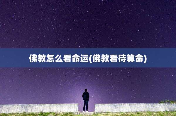 佛教怎么看命运(佛教看待算命)
