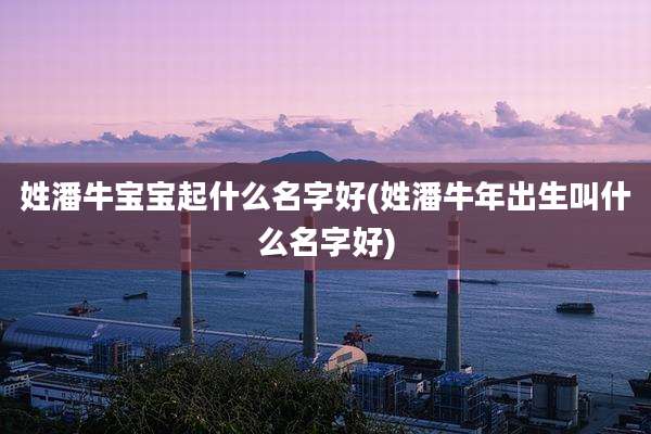姓潘牛宝宝起什么名字好(姓潘牛年出生叫什么名字好)