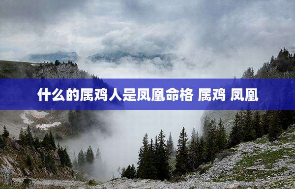 什么的属鸡人是凤凰命格 属鸡 凤凰