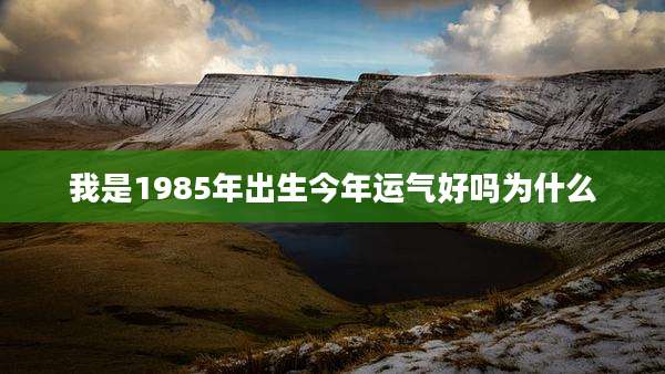 我是1985年出生今年运气好吗为什么