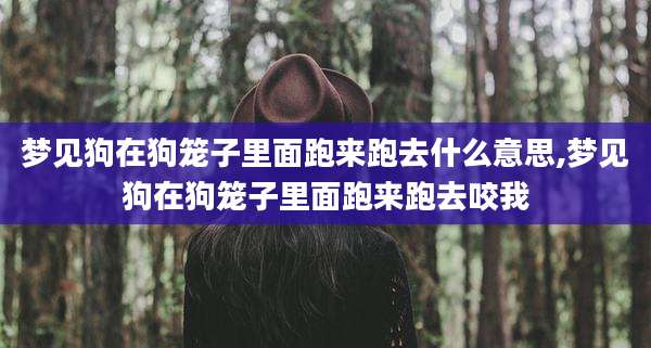 梦见狗在狗笼子里面跑来跑去什么意思,梦见狗在狗笼子里面跑来跑去咬我