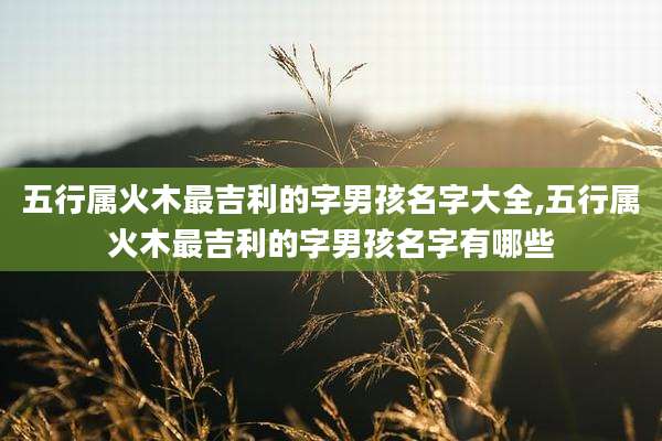 五行属火木最吉利的字男孩名字大全,五行属火木最吉利的字男孩名字有哪些