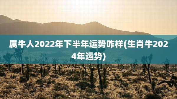 属牛人2022年下半年运势咋样(生肖牛2024年运势)