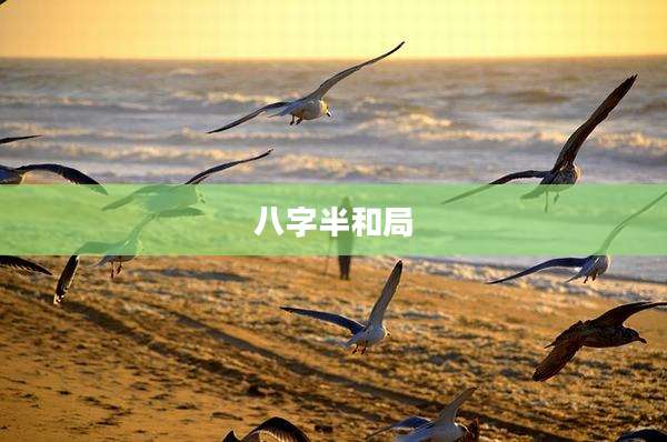 八字半和局