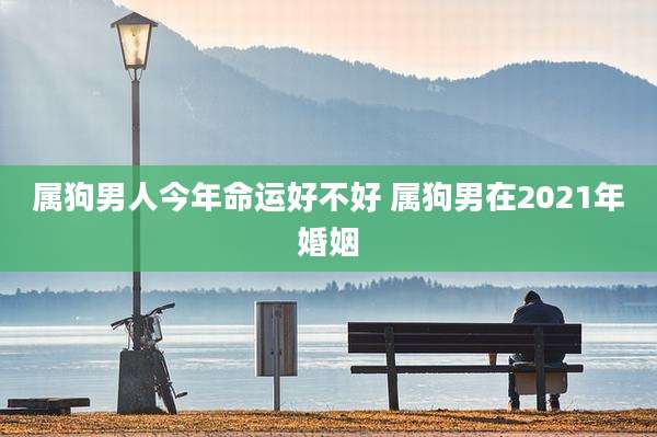 属狗男人今年命运好不好 属狗男在2021年婚姻