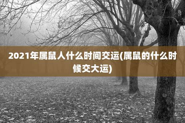 2021年属鼠人什么时间交运(属鼠的什么时候交大运)