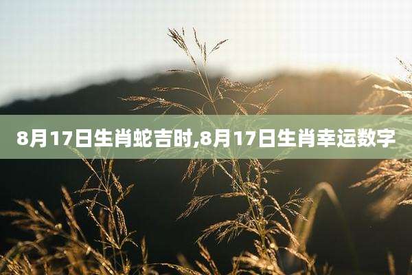 8月17日生肖蛇吉时,8月17日生肖幸运数字