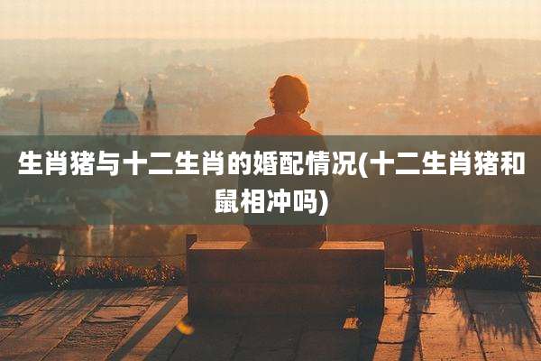 生肖猪与十二生肖的婚配情况(十二生肖猪和鼠相冲吗)