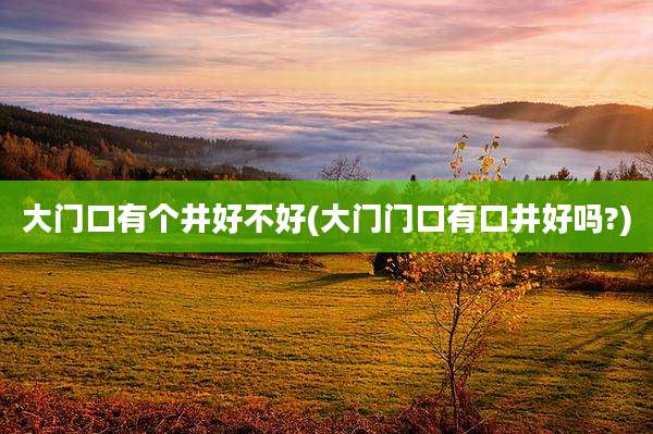 大门口有个井好不好(大门门口有口井好吗?)