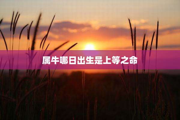 属牛哪日出生是上等之命