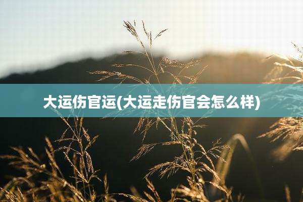大运伤官运(大运走伤官会怎么样)