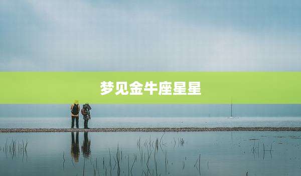 梦见金牛座星星