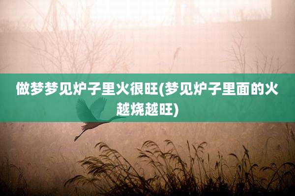做梦梦见炉子里火很旺(梦见炉子里面的火越烧越旺)