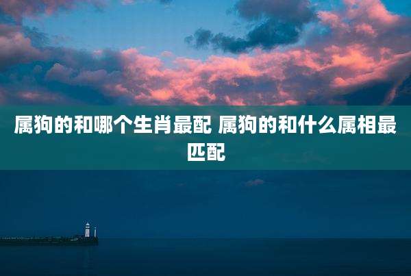 属狗的和哪个生肖最配 属狗的和什么属相最匹配
