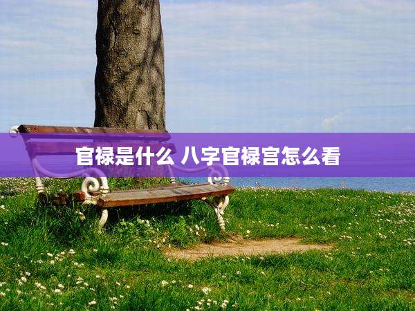 官禄是什么 八字官禄宫怎么看