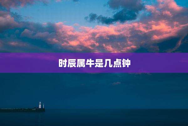 时辰属牛是几点钟
