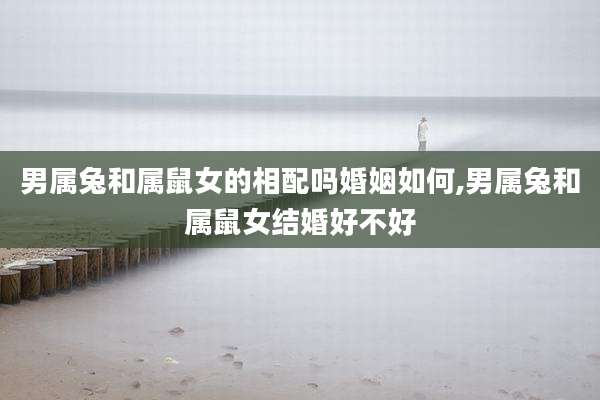 男属兔和属鼠女的相配吗婚姻如何,男属兔和属鼠女结婚好不好