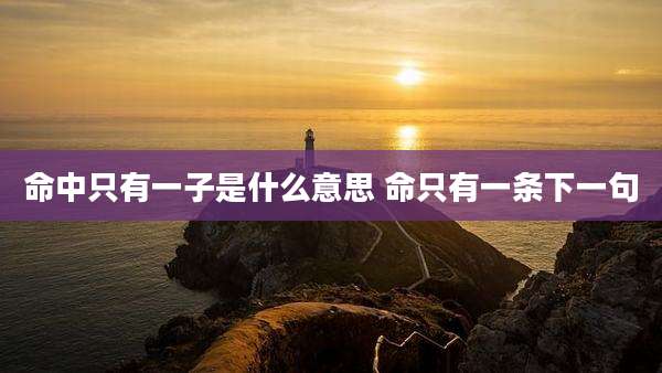 命中只有一子是什么意思 命只有一条下一句