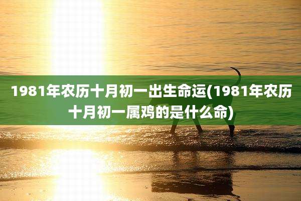 1981年农历十月初一出生命运(1981年农历十月初一属鸡的是什么命)