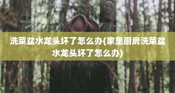 洗菜盆水龙头坏了怎么办(家里厨房洗菜盆水龙头坏了怎么办)