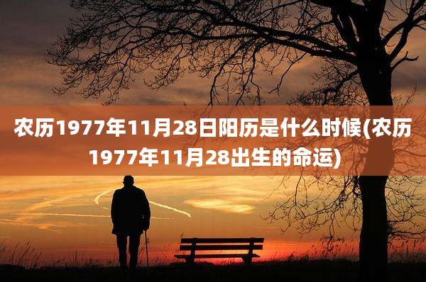 农历1977年11月28日阳历是什么时候(农历1977年11月28出生的命运)